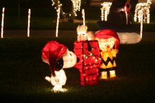 IMG_6736.jpg IMG_6736.jpg
