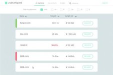 auction-beta (1).jpg