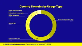 Lexicon_Domains_Country_Domain_Name_Stats_Slide2.webp