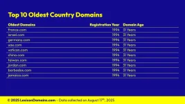 Lexicon_Domains_Country_Domain_Name_Stats_Slide6.webp