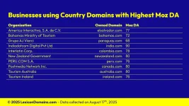 Lexicon_Domains_Country_Domain_Name_Stats_Slide8.webp